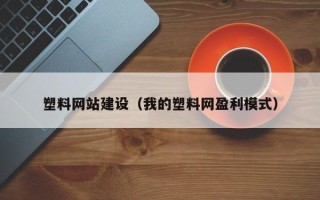 邵阳县塑料网站建设（我的塑料网盈利模式）