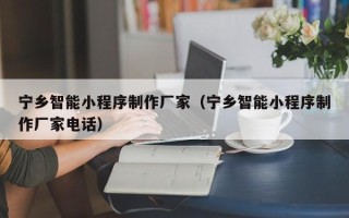 邵阳县宁乡智能小程序制作厂家（宁乡智能小程序制作厂家电话）